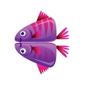 Gemini Fish